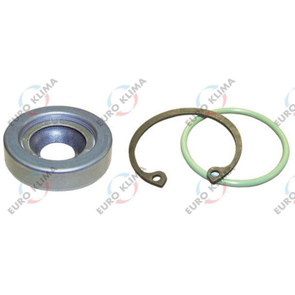 EK2038 KIT