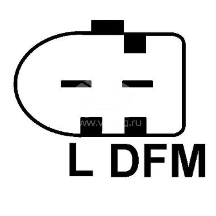 L-DFM-VAG